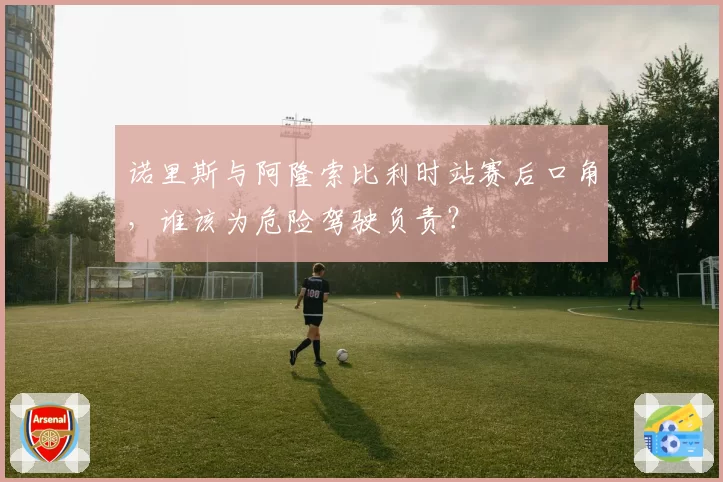 诺里斯与阿隆索比利时站赛后口角，谁该为危险驾驶负责？
