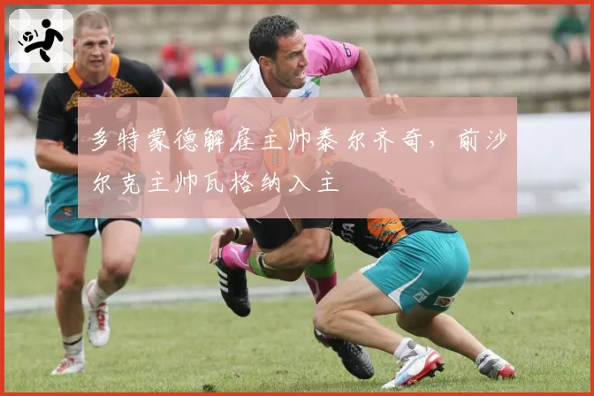 多特蒙德解雇主帅泰尔齐奇，前沙尔克主帅瓦格纳入主